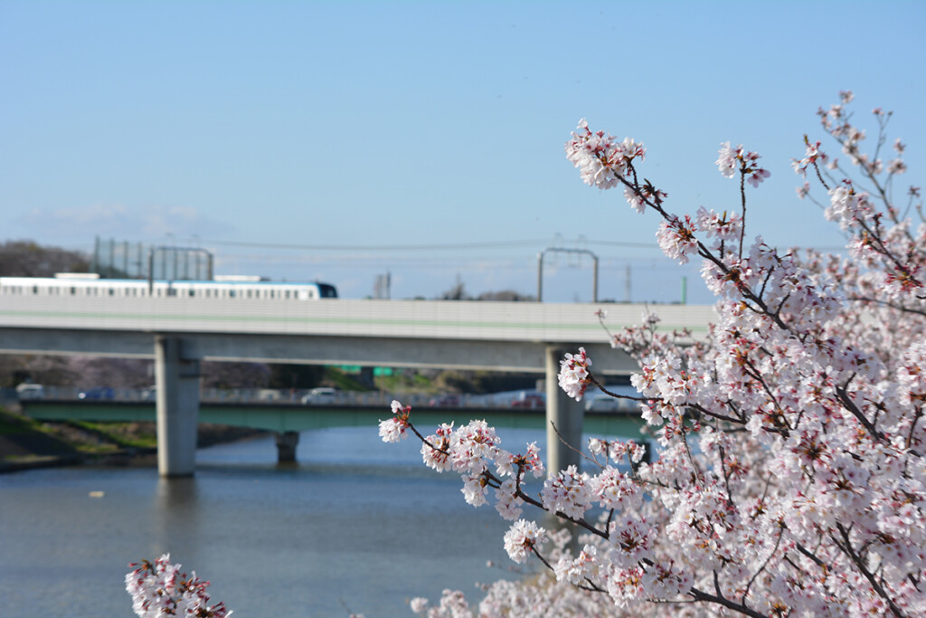 千葉県税理士会 千葉西支部
